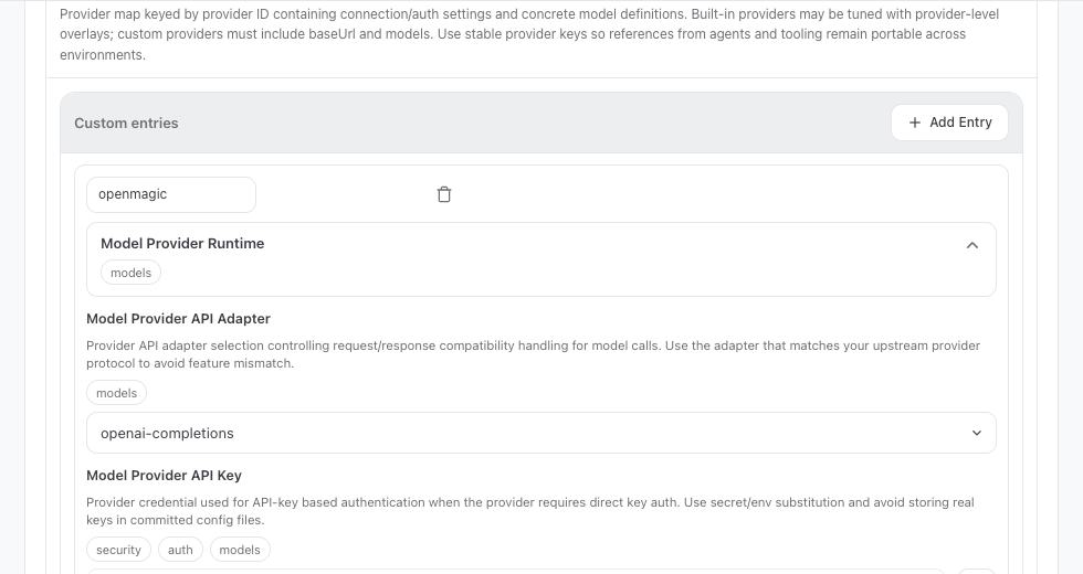 OpenClaw provider ID and API key