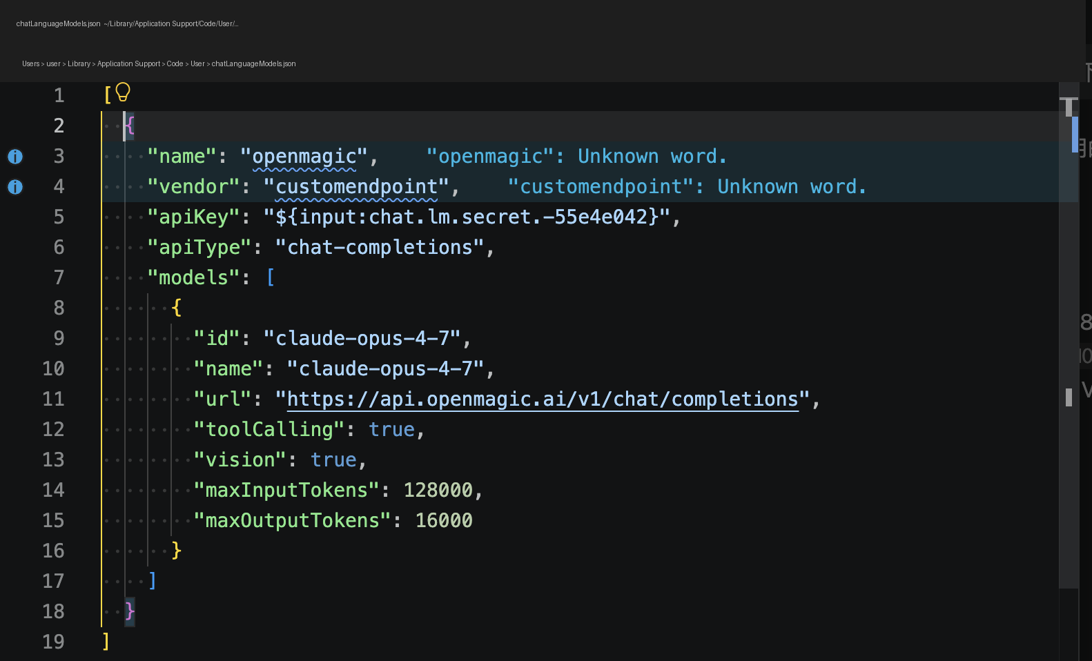 VS Code JSON config